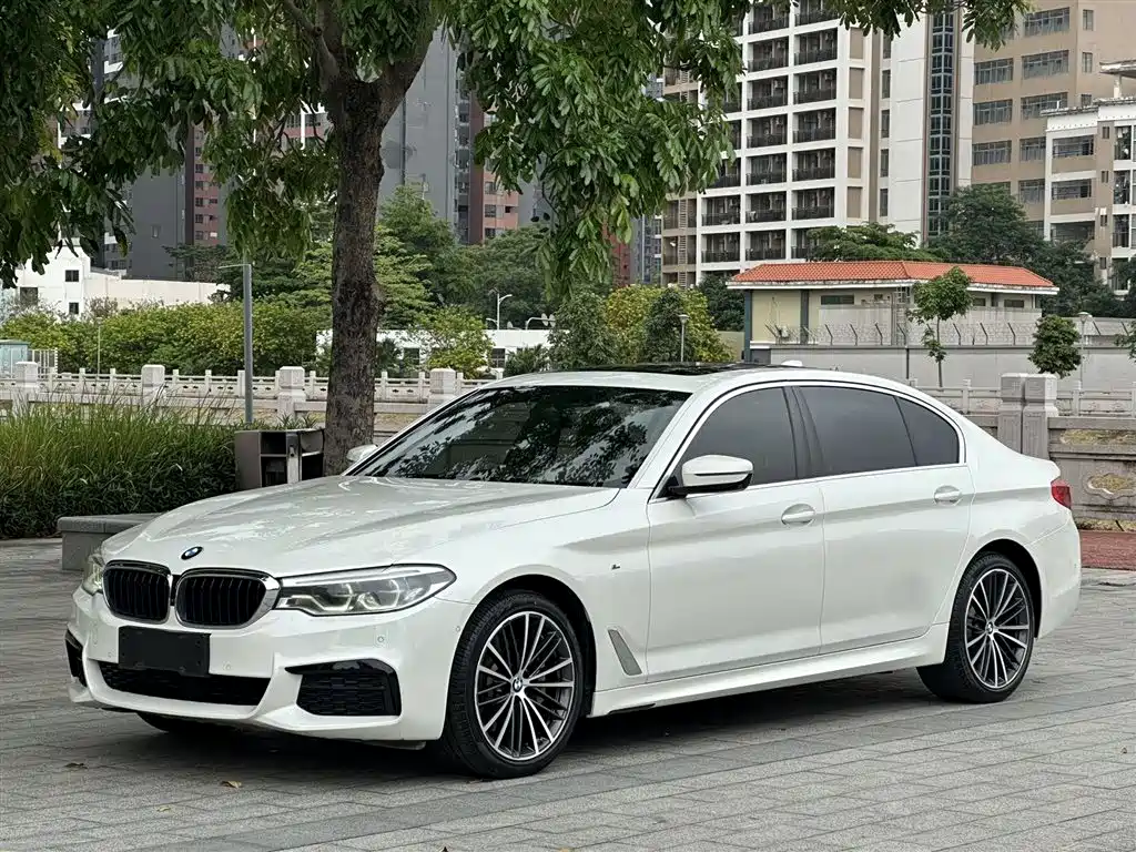 BMW 5 Series 2020 530Li Exclusive M Sport Package