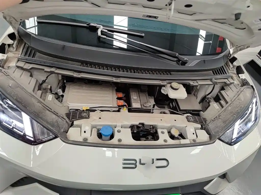 BYD Seagull 2024 Glory Edition 305km Freedom Edition фото 20