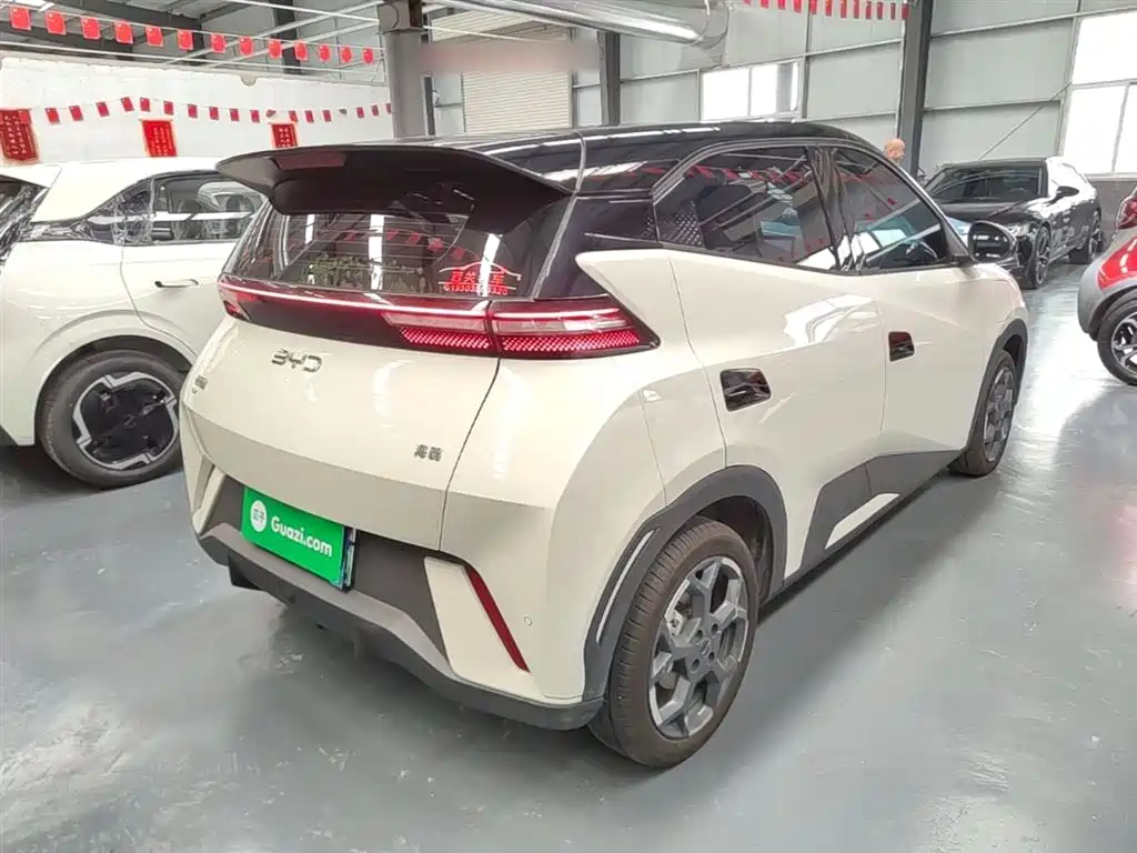 BYD Seagull 2024 Glory Edition 305km Freedom Edition фото 7