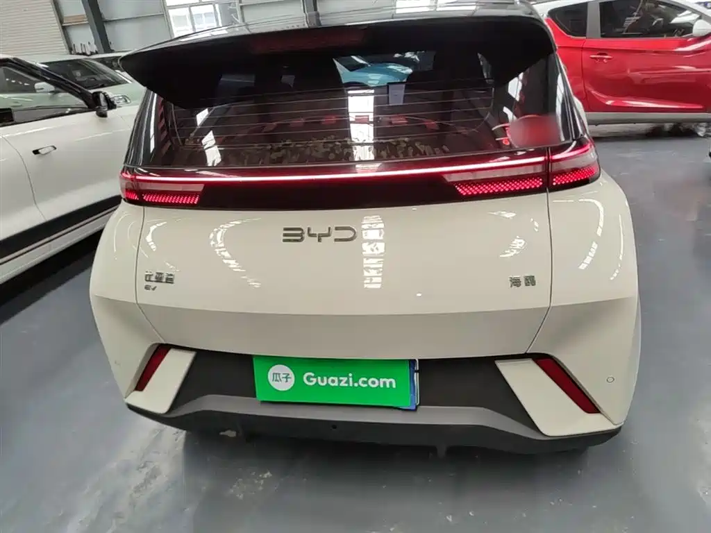 BYD Seagull 2024 Glory Edition 305km Freedom Edition фото 6