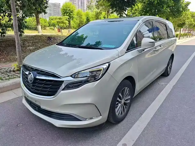 Buick GL8 ES Люкс, 653T, Престиж