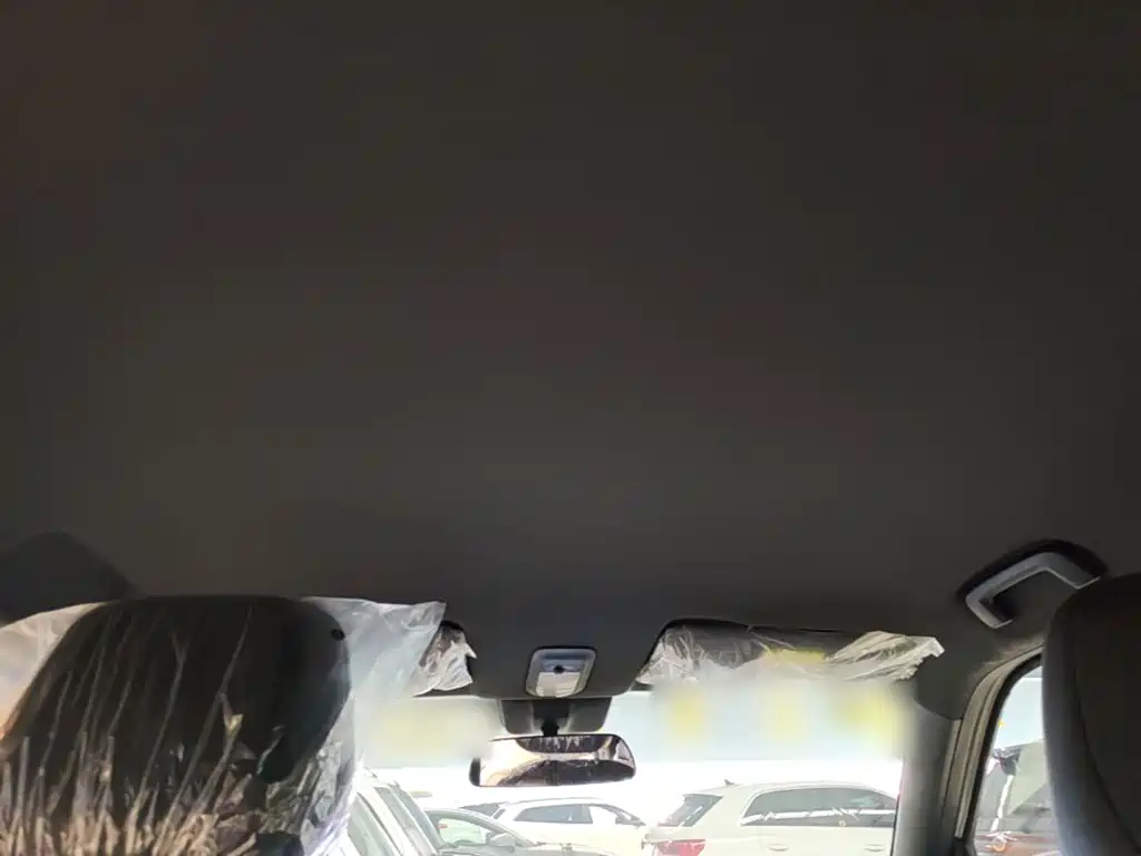 Baojun Yueye Plus 2025 2026 301km Flagship