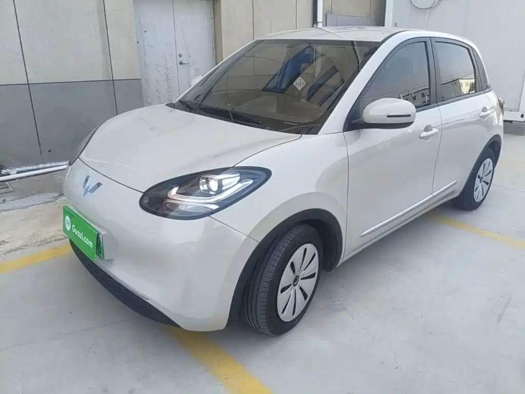 Wuling Motors Wuling Bingo 2023 Model 203km Lite Enjoyment Edition