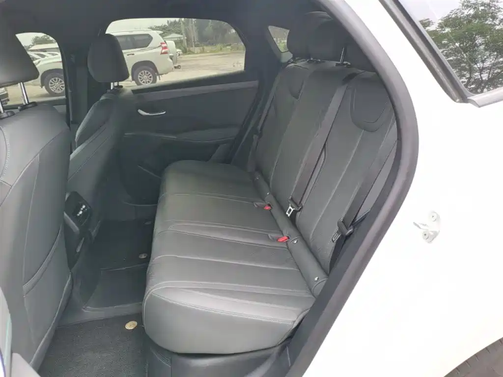 BYD Qin PLUS 2025 DM-i Smart Drive 55KM Leader фото 17