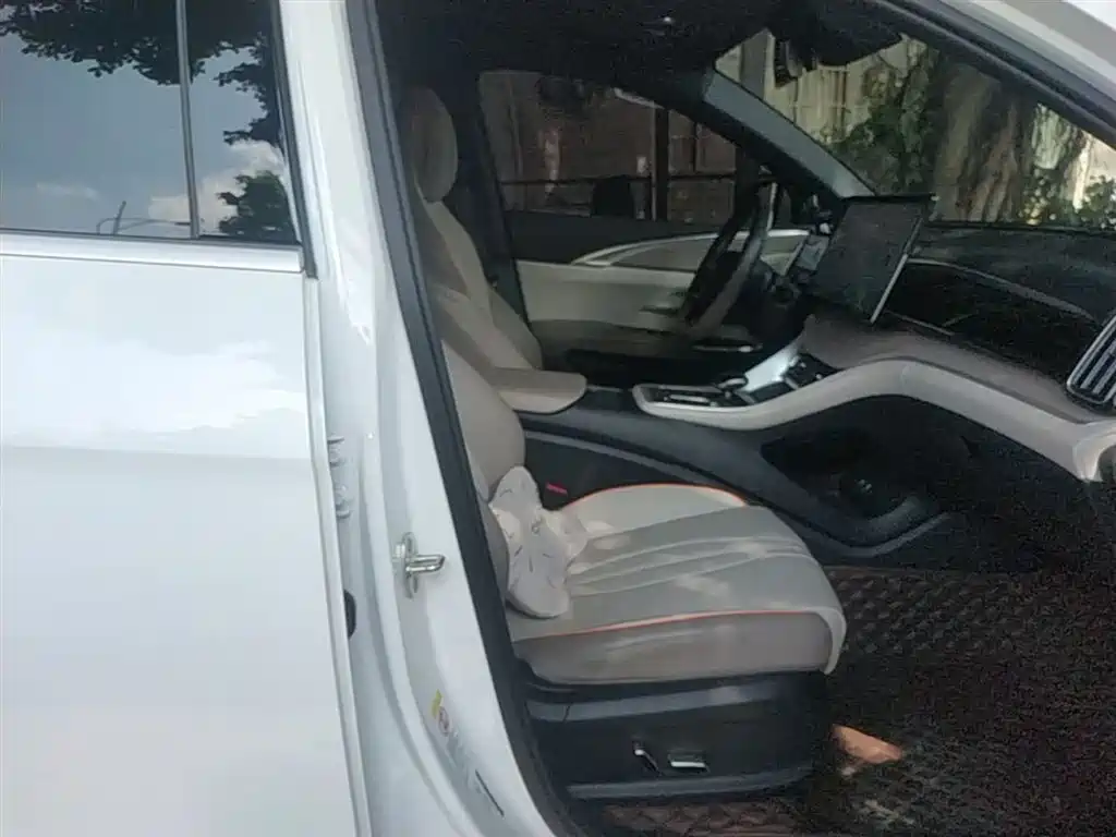 BYD Song Pro New Energy 2023 Champion Edition DM-i 110KM Excellence фото 25
