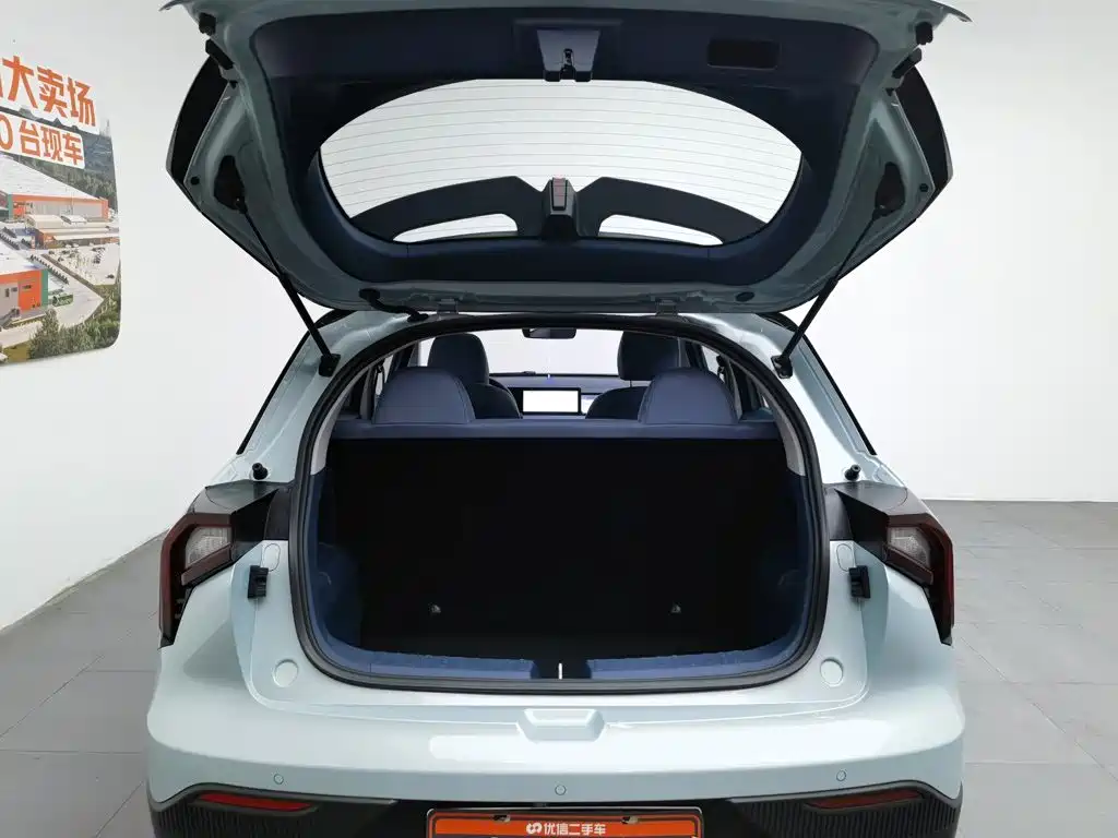 Geely Geometry E Firefly 2024 2022 401KM Delicate Tiger 4-seater