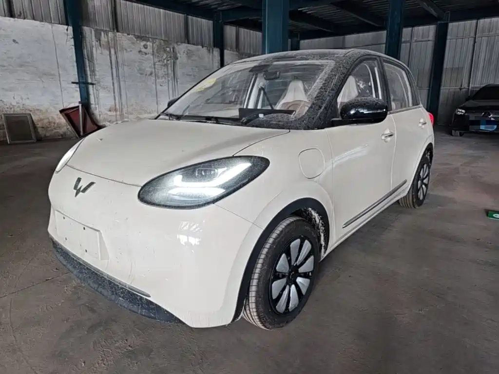 Wuling Motors Wuling Bingo 2026 2025 Model 333km Joy Edition