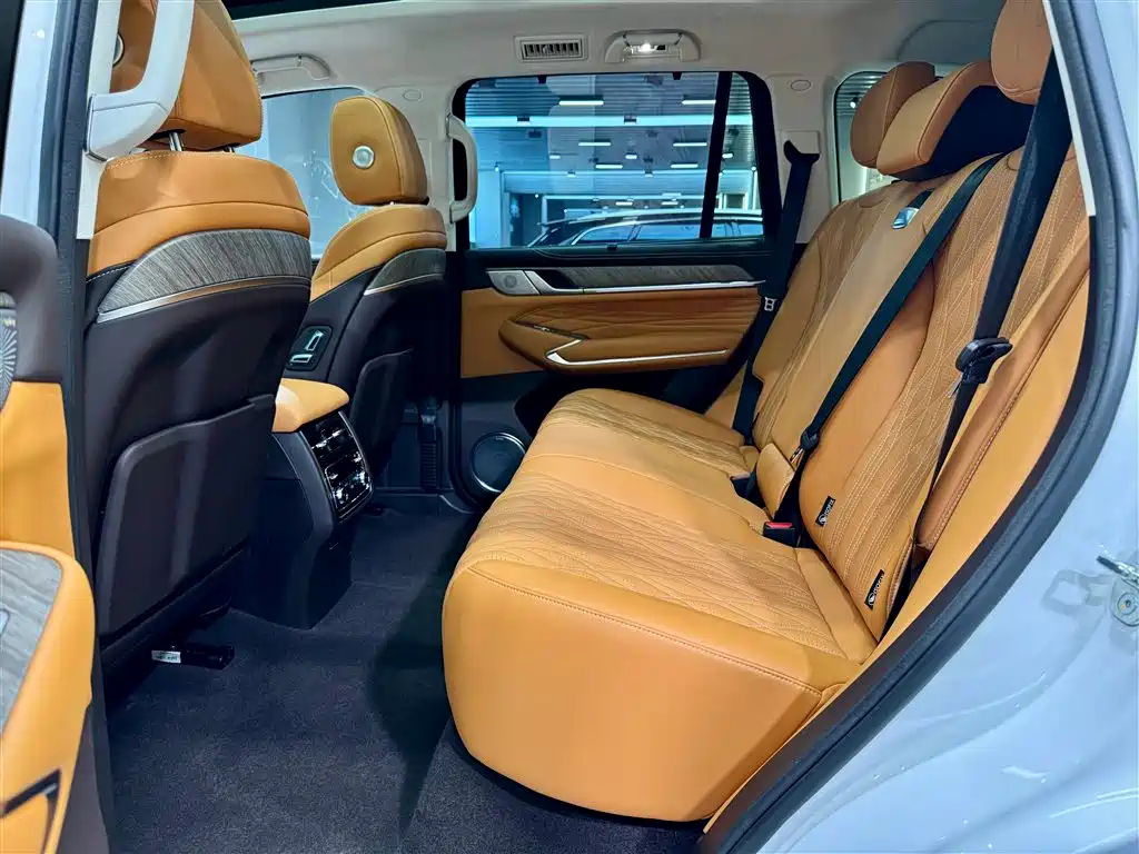 Tank 500 2022 3.0T Business Edition Zaojing 5-Seater фото 19