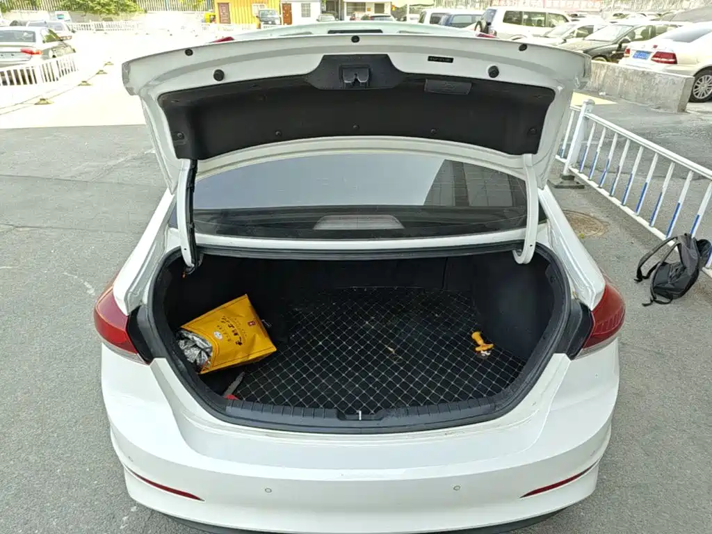 HYUNDAI LEAD