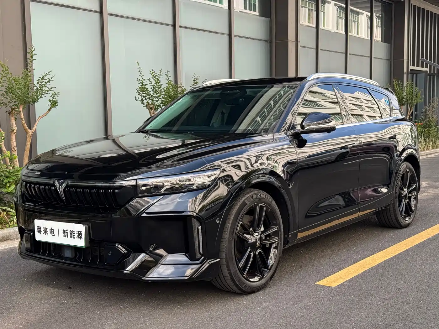 Voyah Auto VOYAH FREE 2024 Ultra Long Range Intelligent Driving Edition