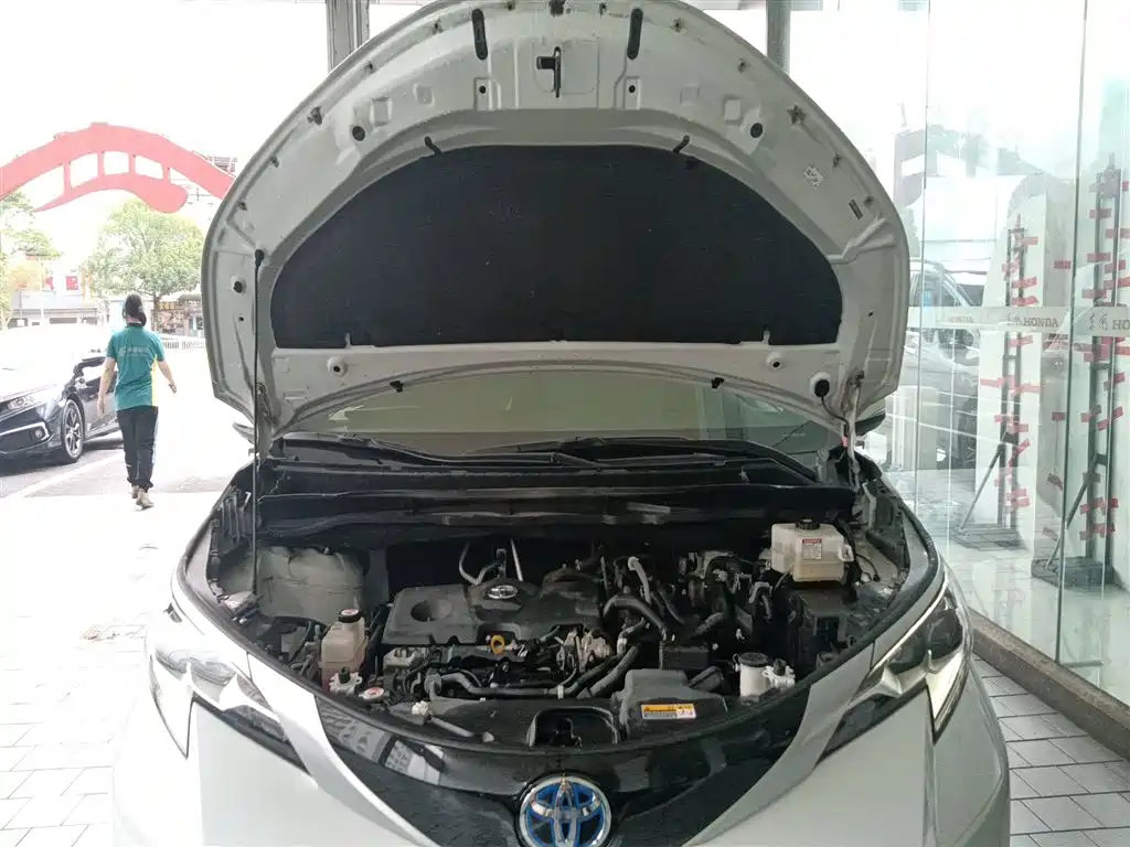 Toyota Sienna 2021 2.5L Hybrid Platinum Edition фото 20