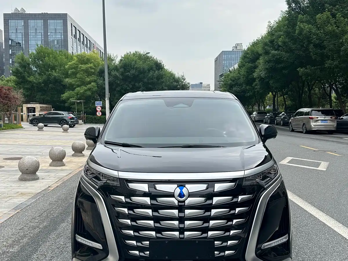 Denza D9 2022 DM-i 970 All-Wheel Drive Honor Edition фото 2