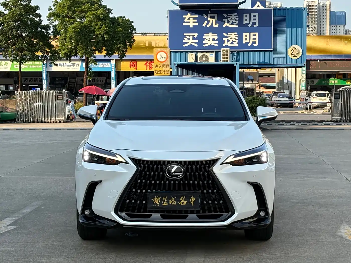Lexus NX 2024 2023 350h FWD Joy Creation Edition