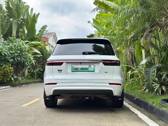 Li Auto Li ONE 2020 Extended Range 6-seater — фото 4