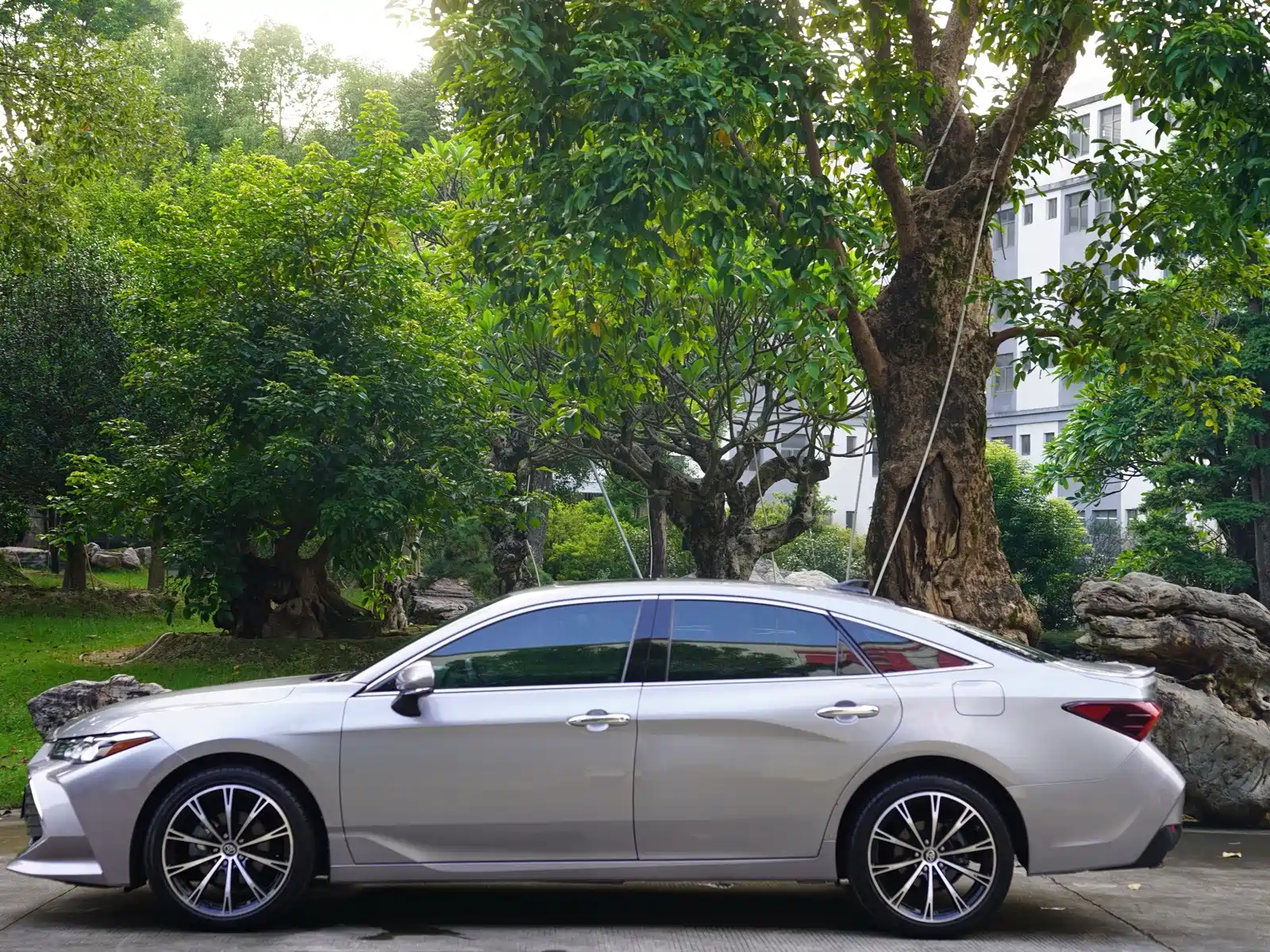 Фото 5 - Toyota Avalon