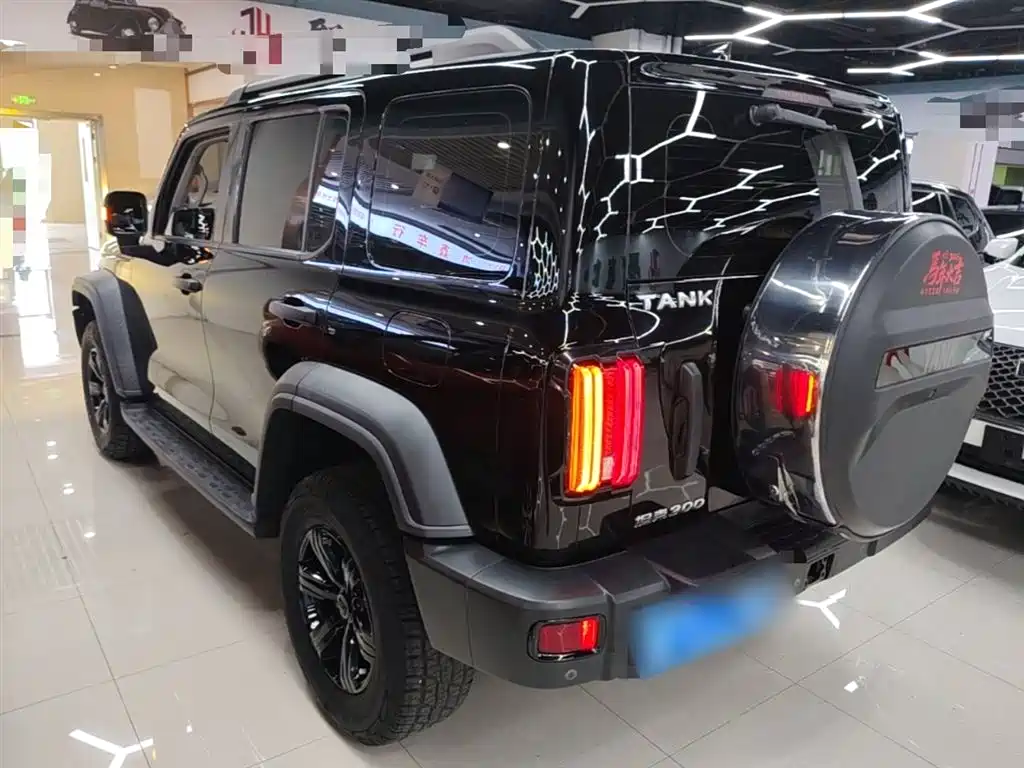 Tank 300 2021 Off-road Edition 2.0T Challenger фото 5