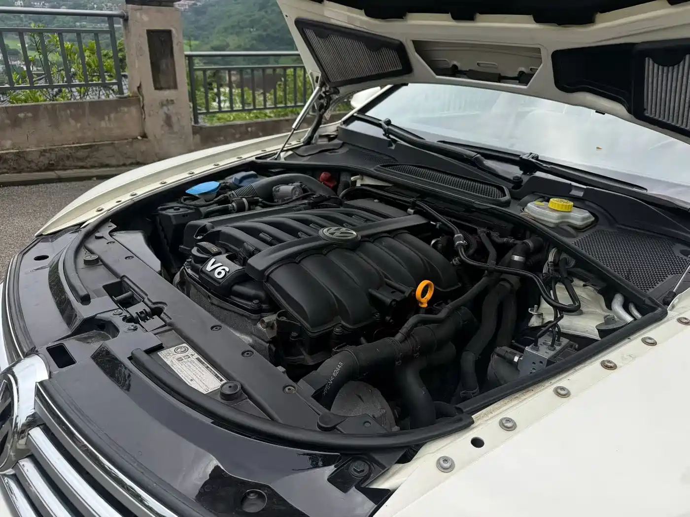Volkswagen Phaeton 2012 3.6L Premium Custom фото 8