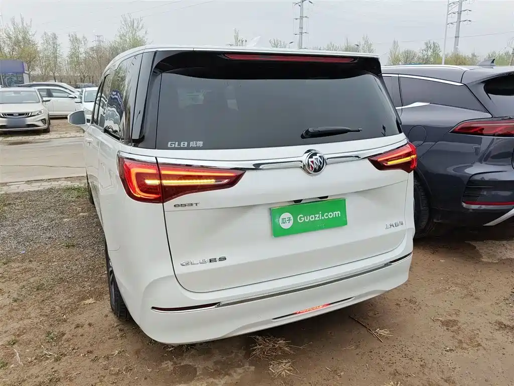 Buick GL8 2021 ES Landlord 653T Premium фото 6