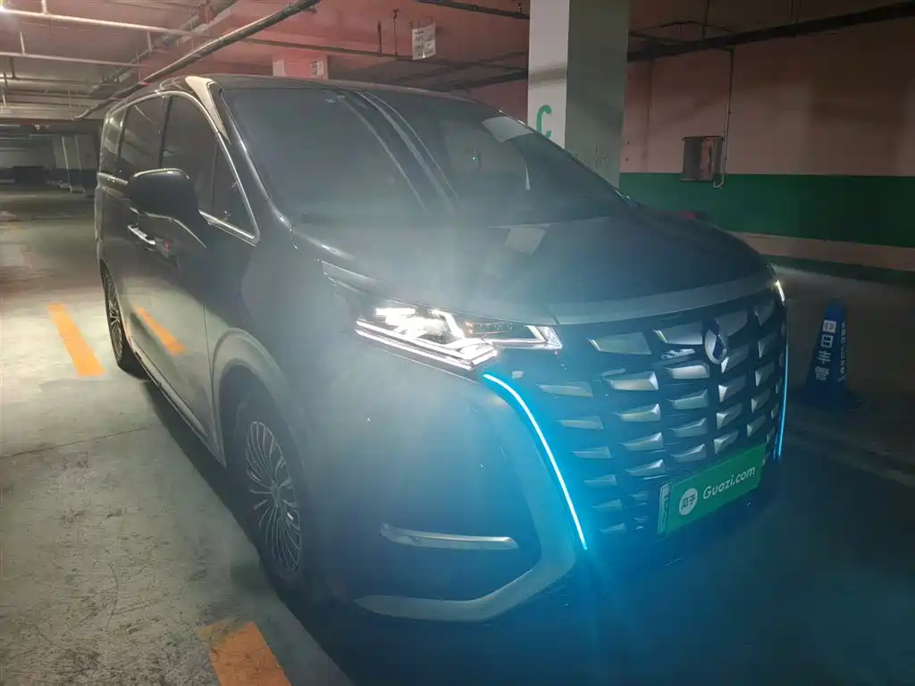 Denza D9 2022 DM-i 970 All-Wheel Drive Honor Edition фото 2
