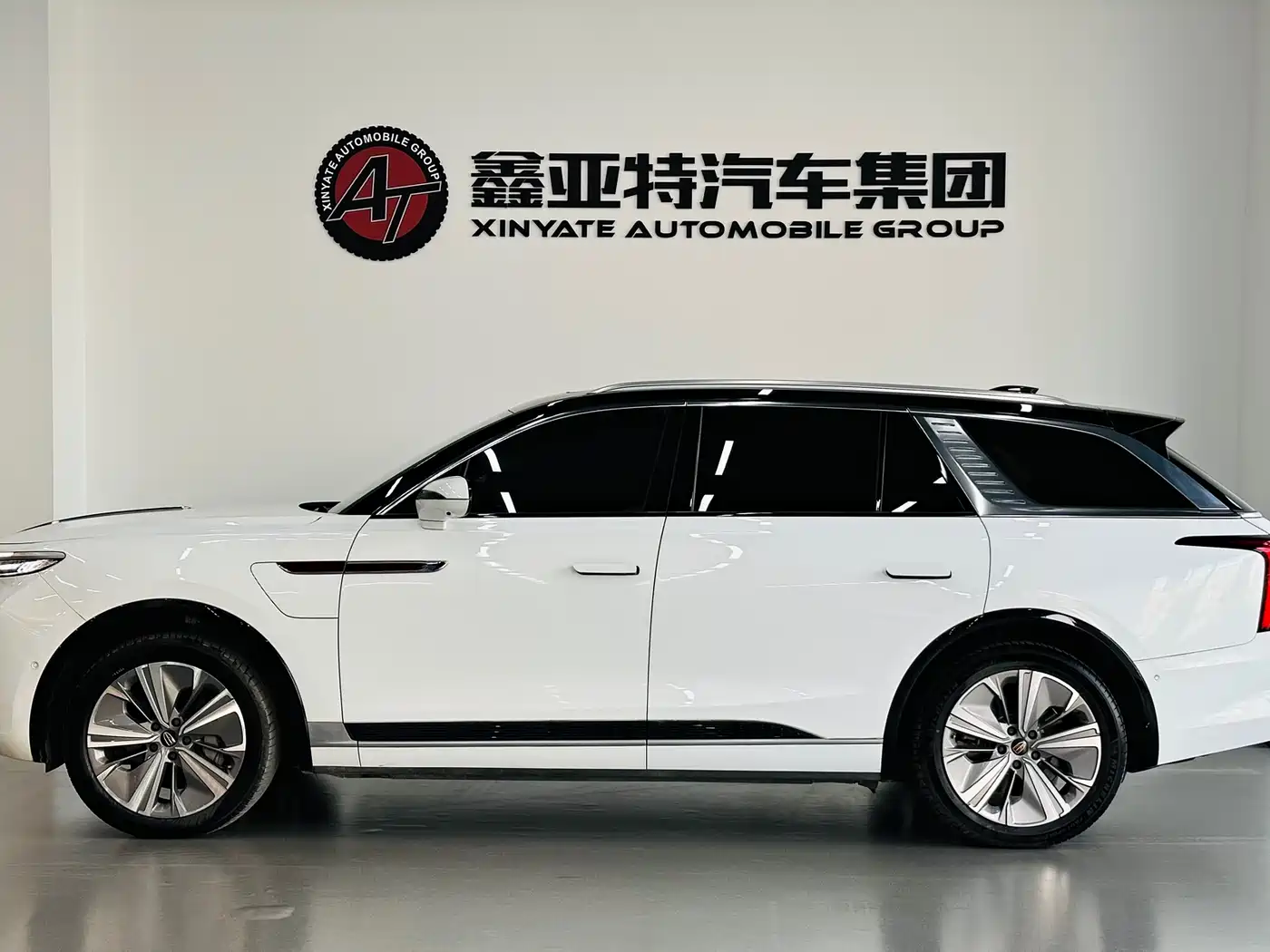 Hongqi HONGQI E HS9