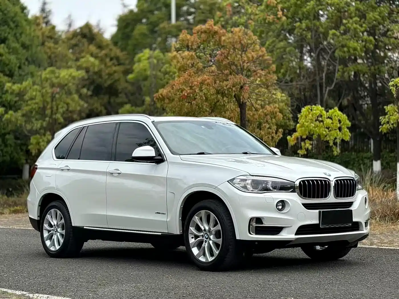 BMW X5 (Import) 2018 xDrive28i фото 3