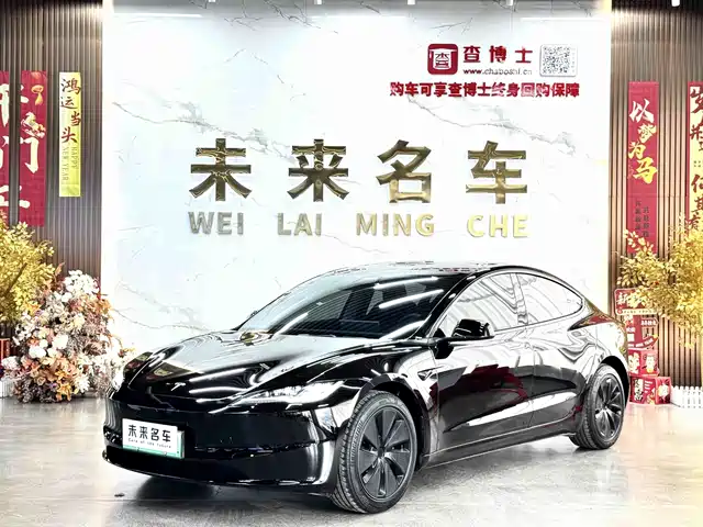 Tesla Model 3 Задний привод
