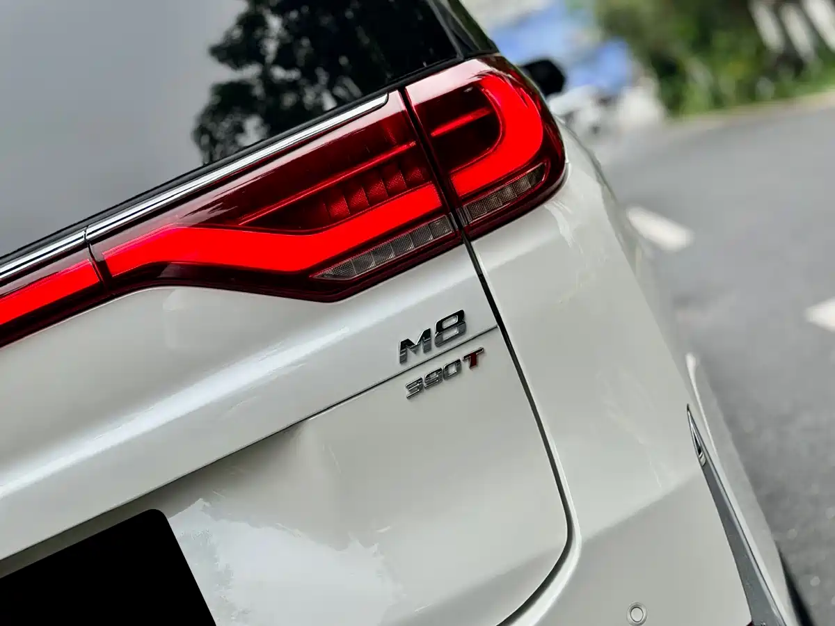GAC Trumpchi Trumpchi M8 2021 Leading Show Series 390T Ultimate Edition фото 29