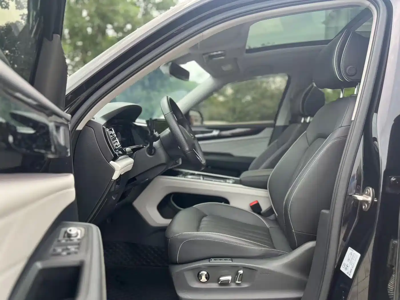 Volkswagen Teramont 2023 530 V6 AWD Premium Luxury Edition фото 5