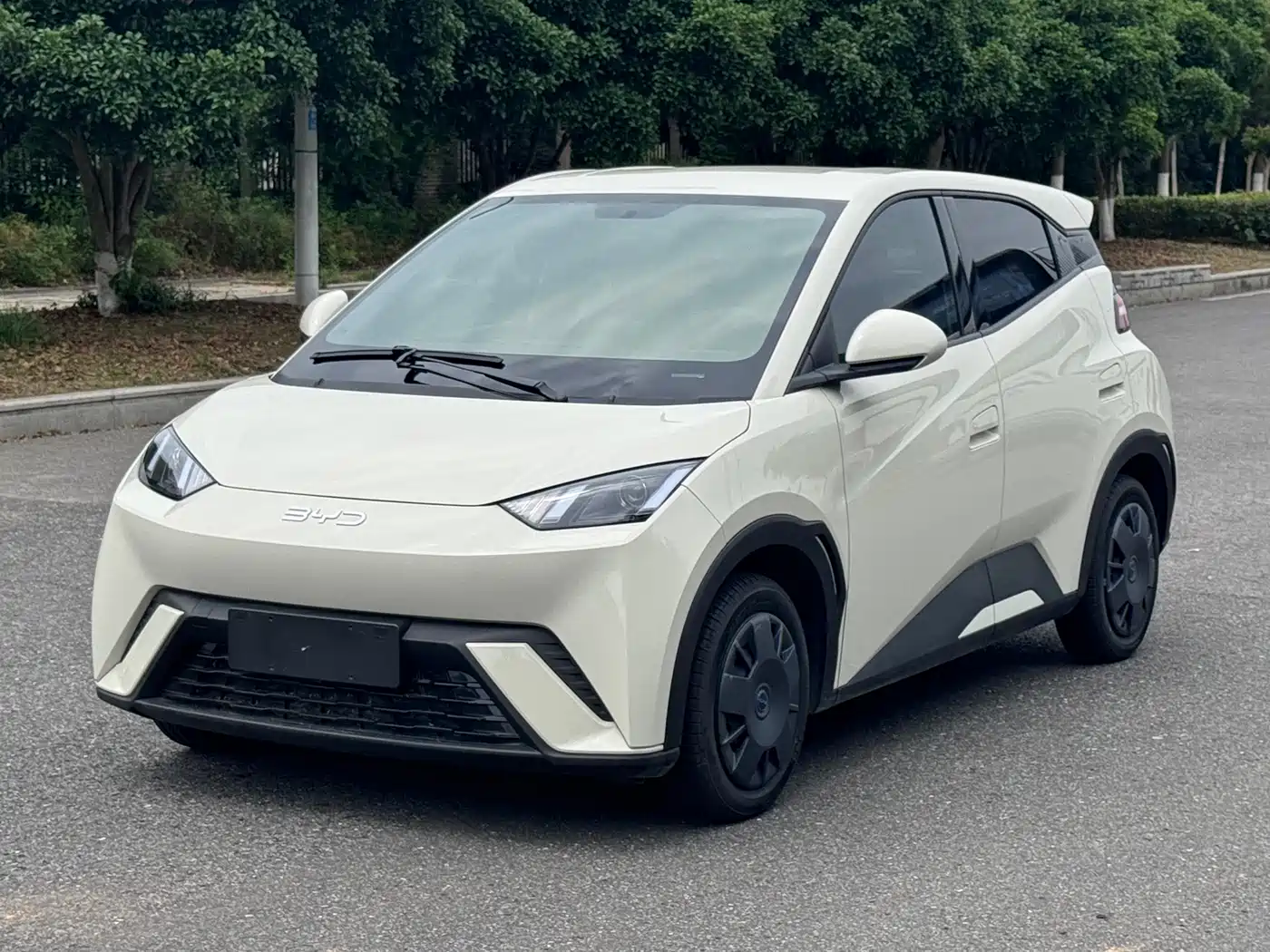 BYD Seagull 2025 305km Vitality