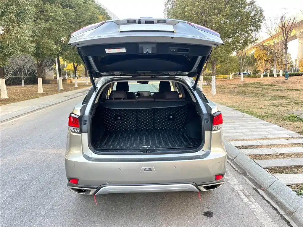 Lexus RX 2020 300 4WD Elegance Edition China VI фото 10