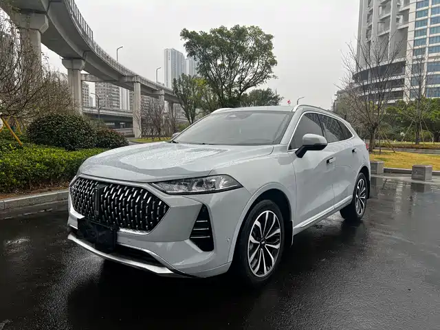 WEY Mocha 2021 2.0T 4WD Premium Edition
