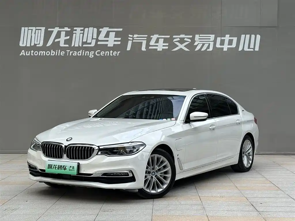 BMW 5 Series New Energy 2019 530Le Pioneer Edition