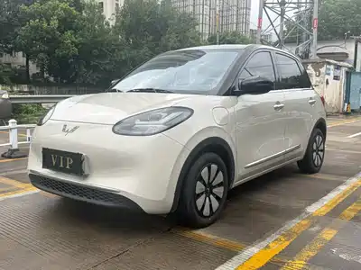 Wuling Bingo