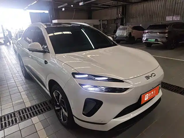 BYD Sealion 06 New Energy 2025 DM-i 170 Pilot Pro Edition — фото 2
