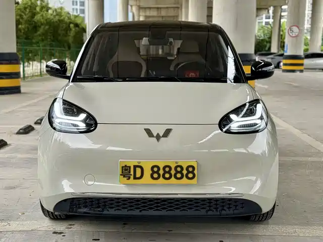 Wuling Motors Wuling Bingo 2024 333km Comfort Edition