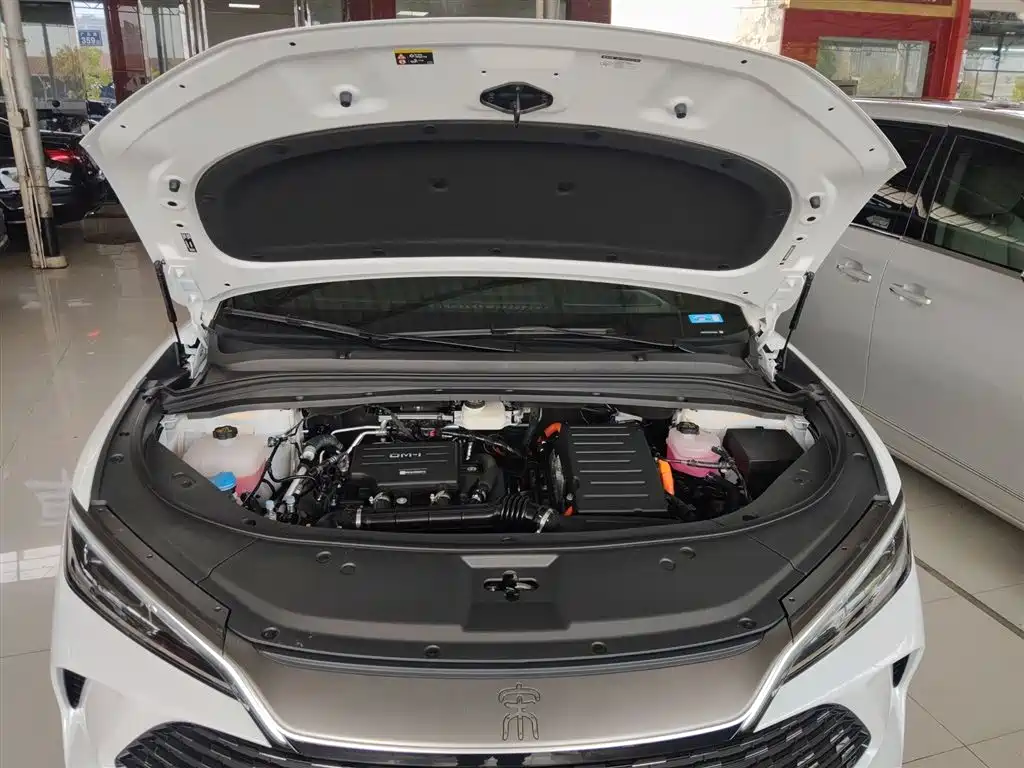 BYD Song L DM-i 2025 Smart Drive Edition 112km Surpassing фото 20
