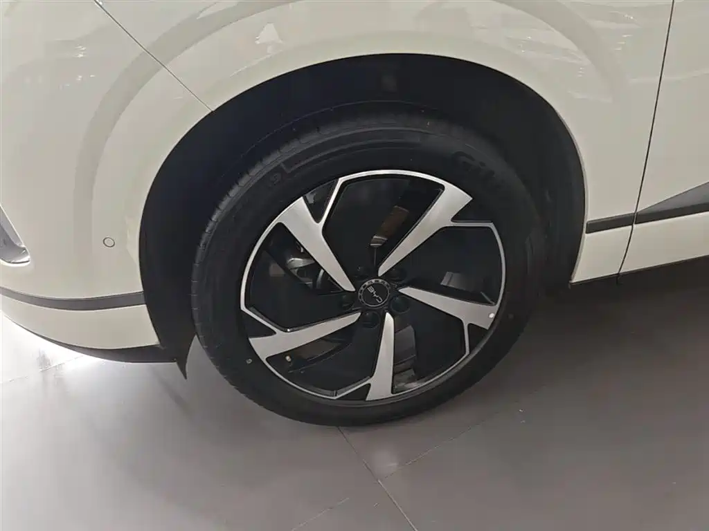 BYD Sealion 06 New Energy 2025 DM-i 170 Pilot Pro Edition фото 23