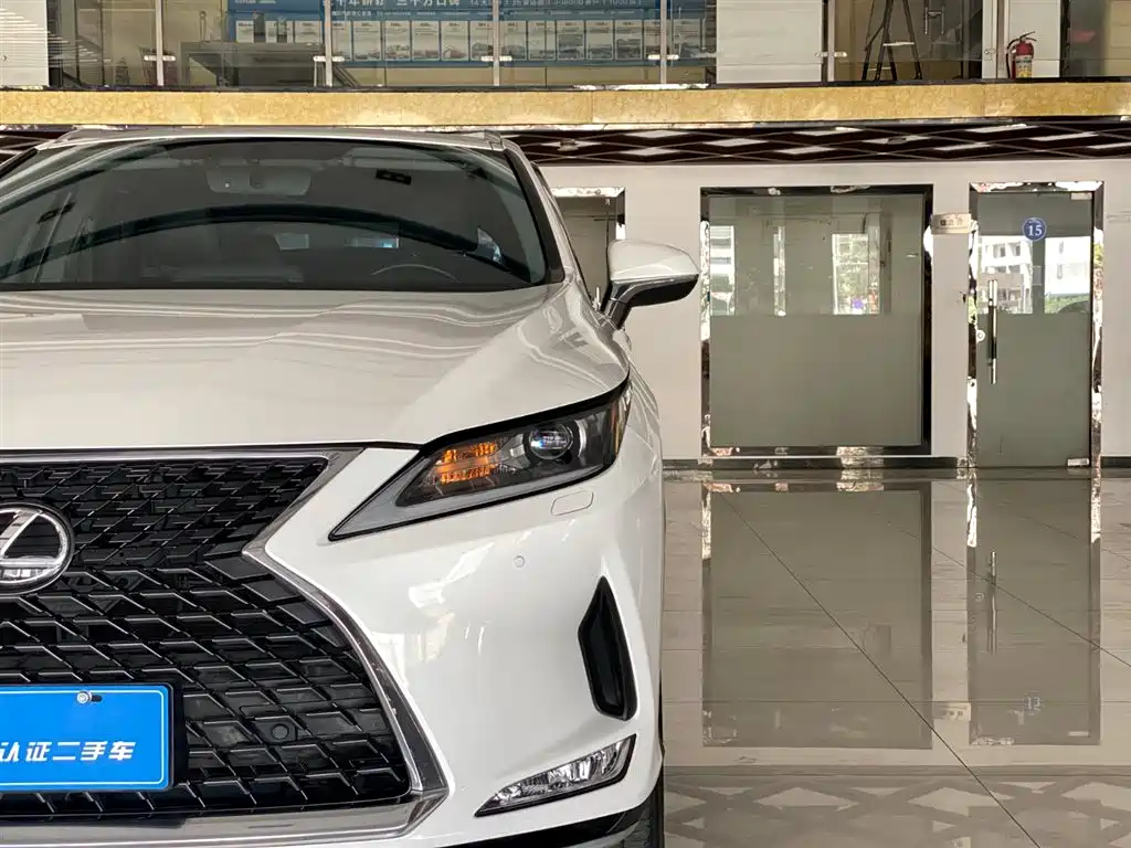 Lexus RX 2020 Facelift 300 2WD Elite Edition фото 8