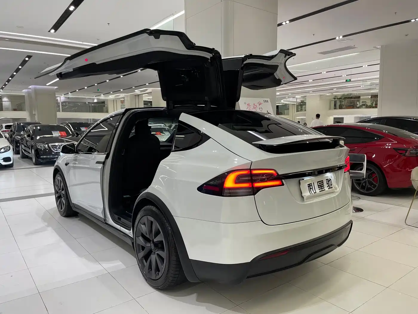 2025 Tesla Model X