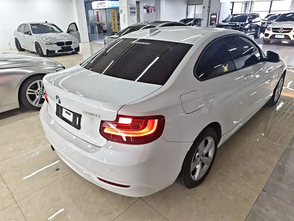BMW 2 Series (Import) 2017 220i Leading фото 7