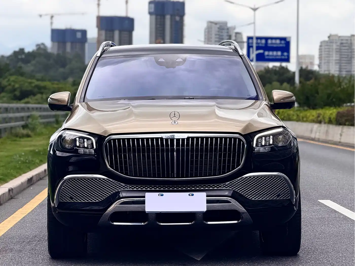 Mercedes-Benz Maybach GLS 2022 GLS 480 4MATIC фото 2
