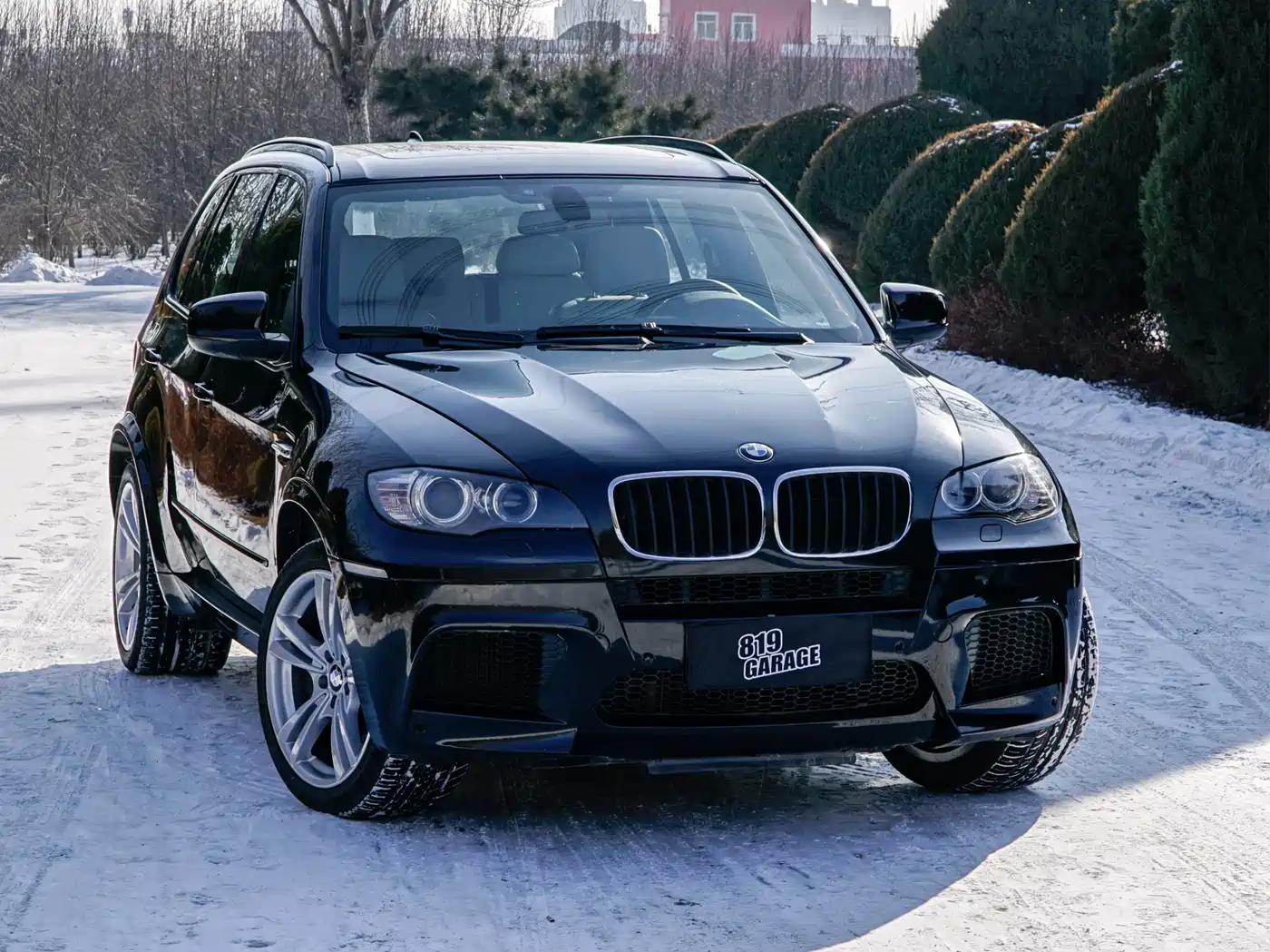BMW X5 M 2010 X5 M