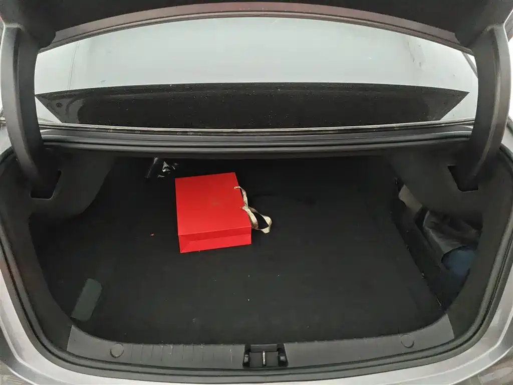 BYD Han 2020 DM AWD Performance Luxury Edition фото 18