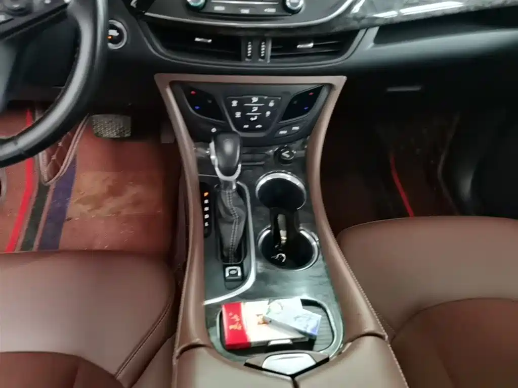 Buick Envision Plus 2016 20T 2WD Elite фото 14