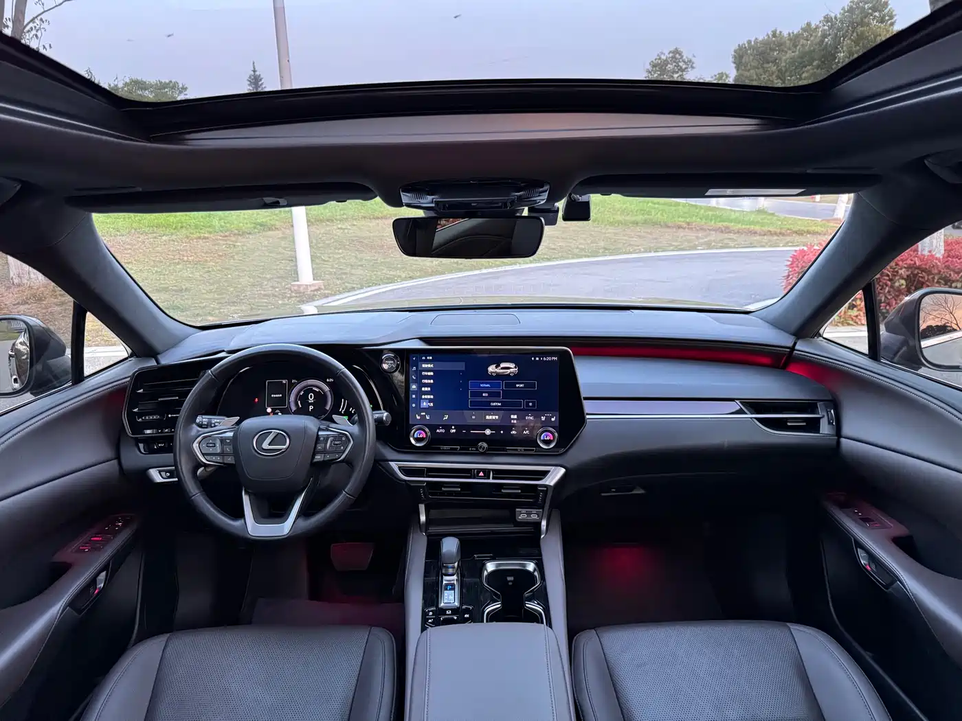 LEXUS RX