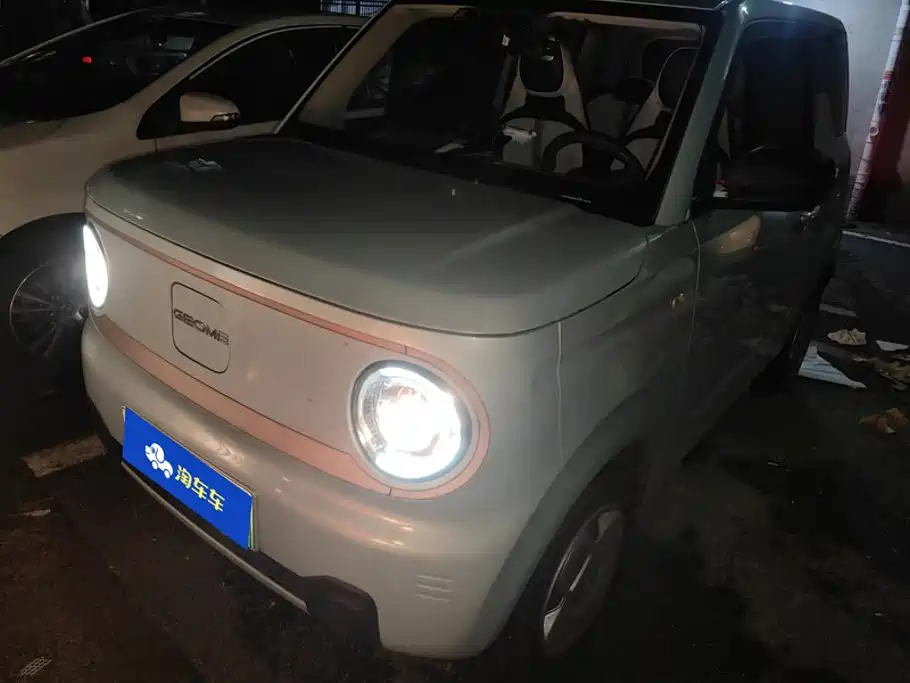 Geely Galaxy Panda 2023 2023 Panda Mini 200km Endurance Bear