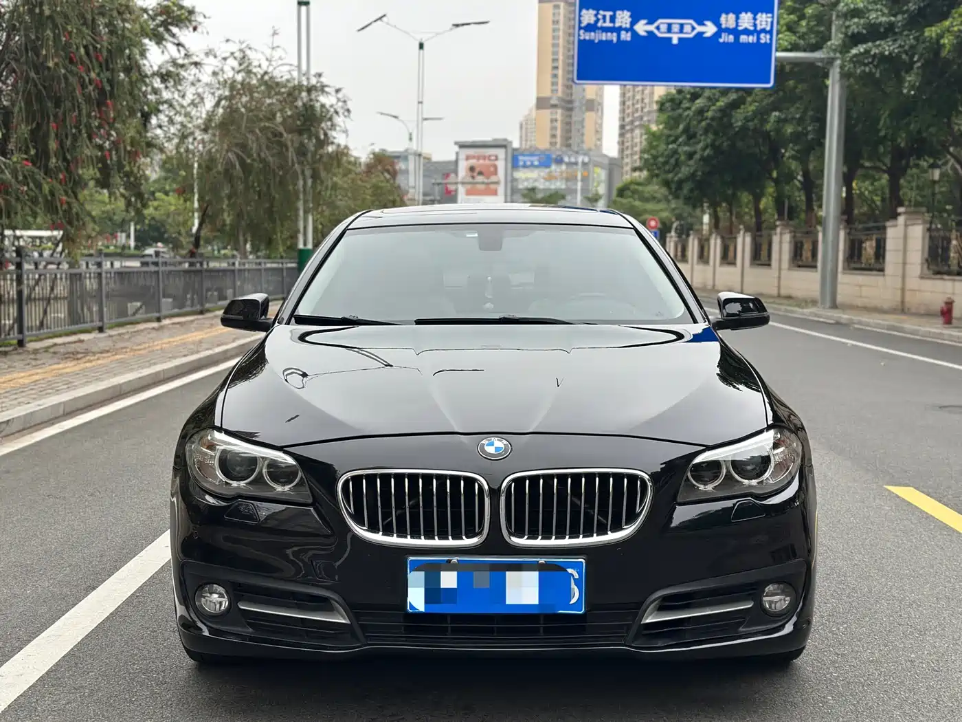 BMW 5 Series 2014 525Li Leading фото 2