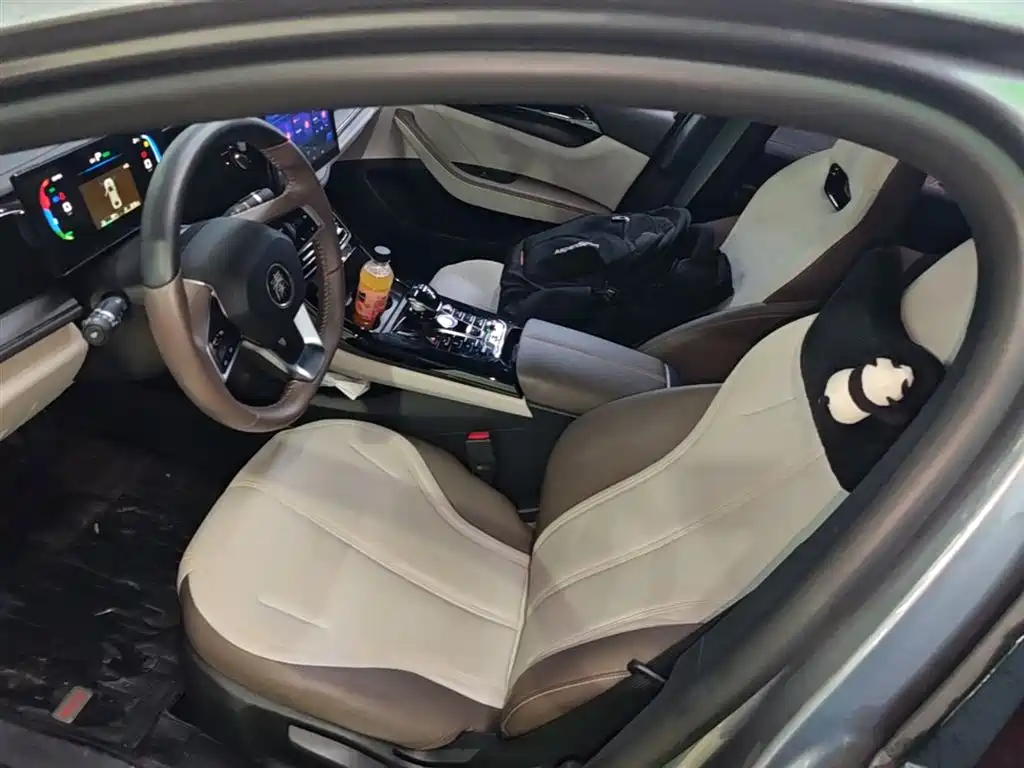 BYD Qin PLUS 2023 Champion Edition DM-i 55KM Leading фото 14