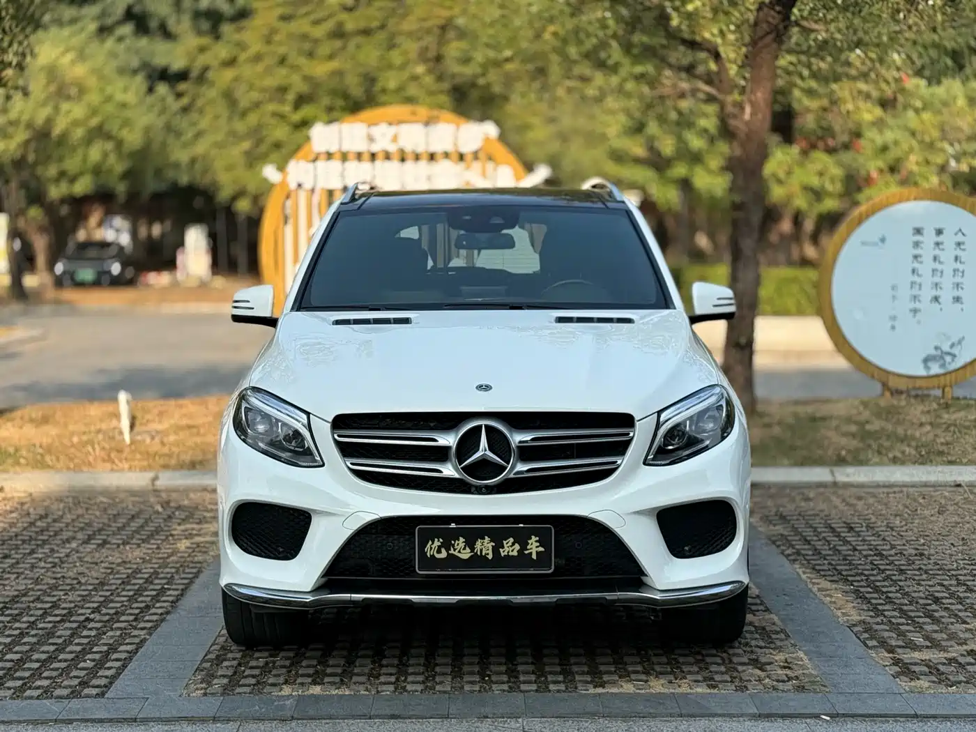 Mercedes-Benz GLE 2017 GLE 320 4MATIC Dynamic фото 2