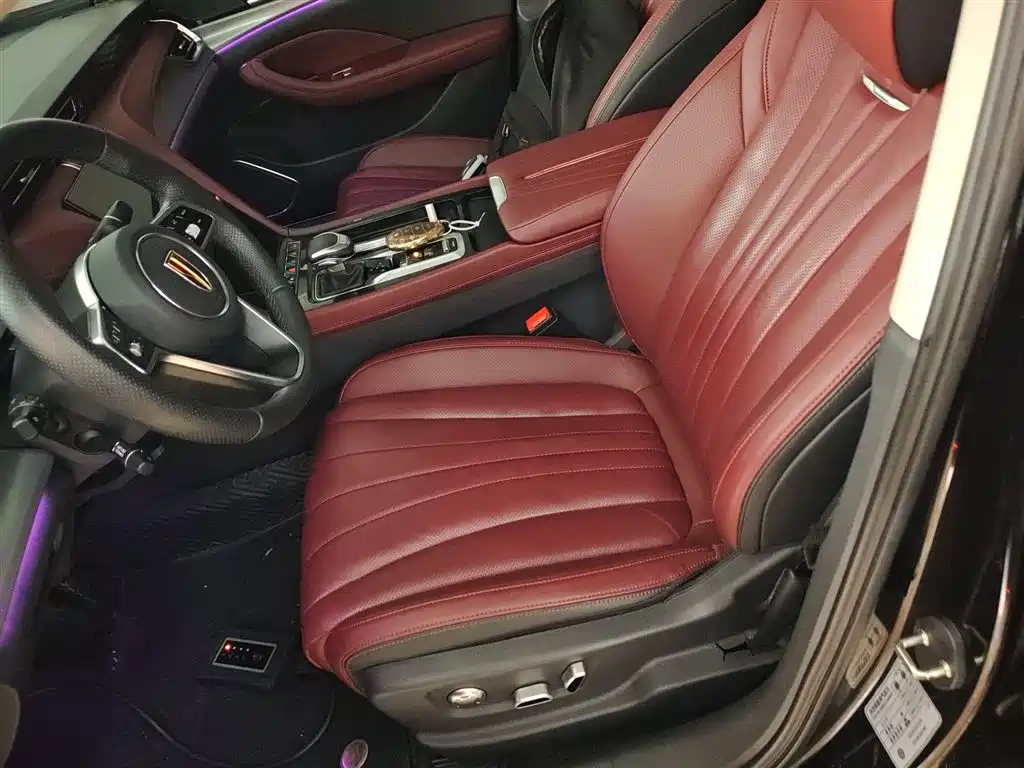 Hongqi H5 2023 2.0T Auto Smart Connect Flag Comfort фото 15